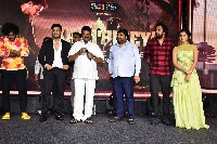 Karthikeya 2 Movie Pre Release Event